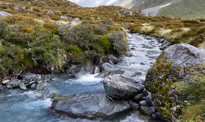 an alpine stream flowing through a grassy field