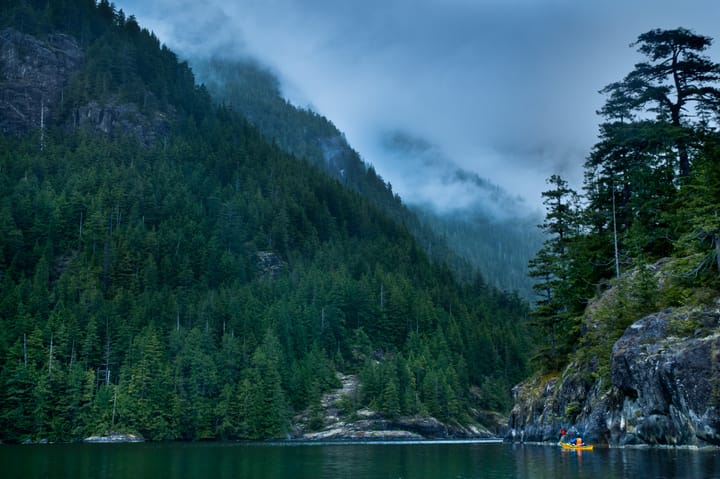 a kayaker paddles in a misty mountain lake, dense forests on all sides