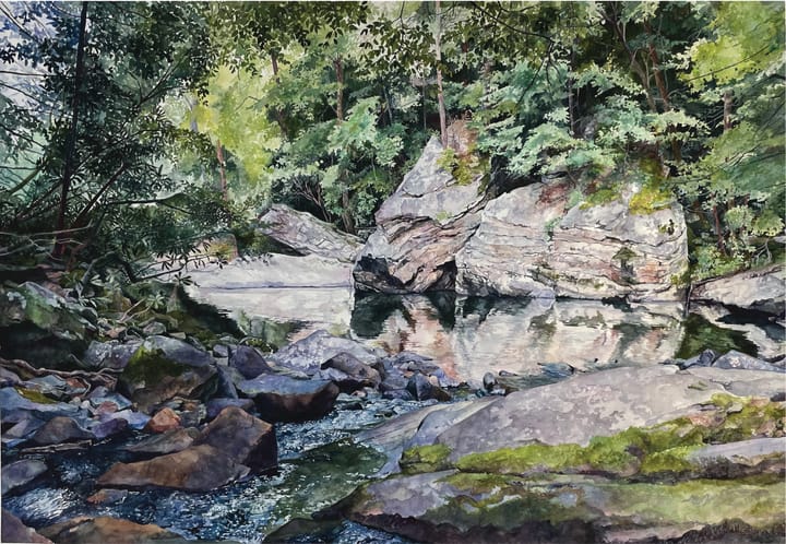 How This Watercolorist Paints the Wilderness