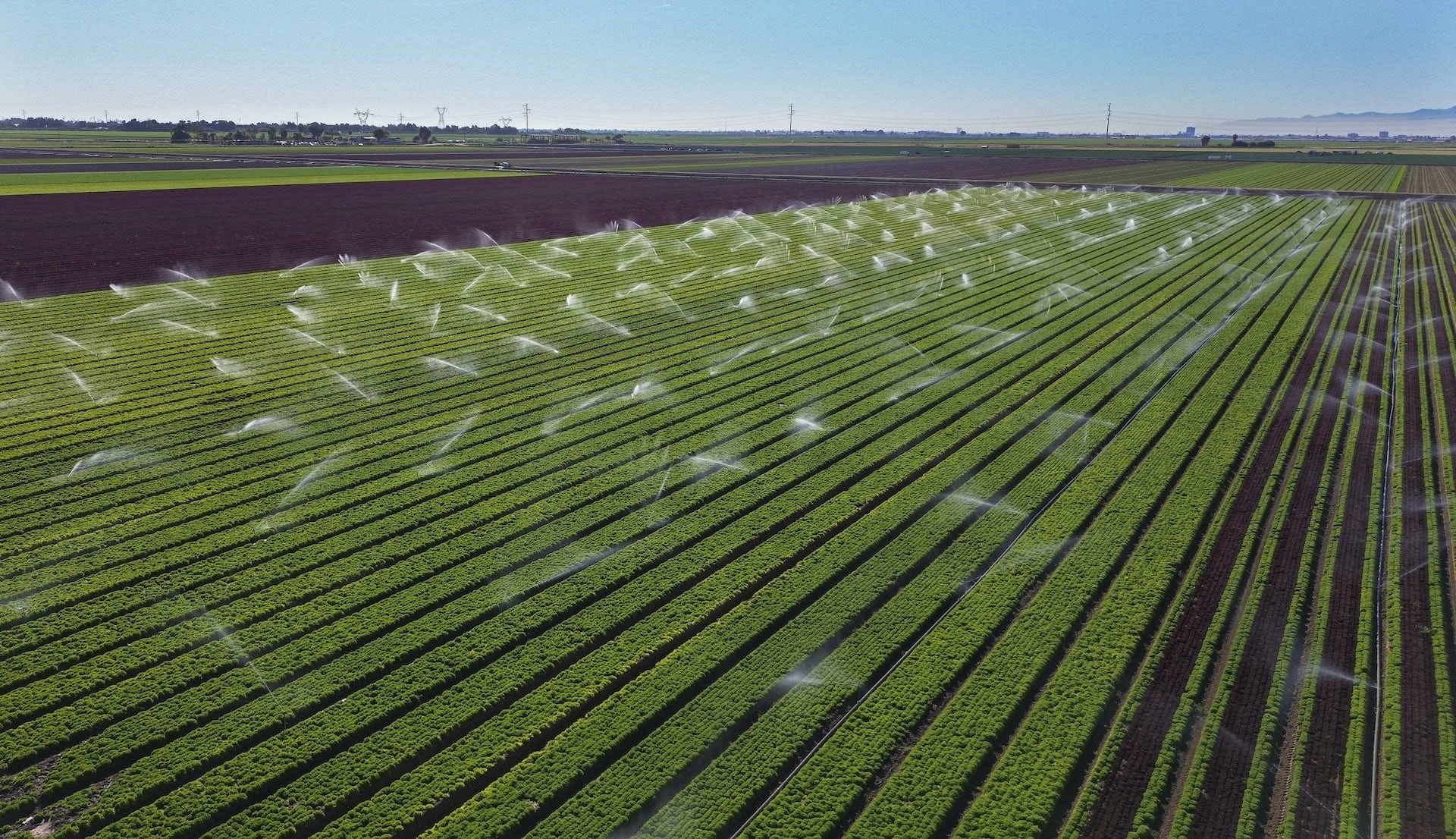 The Colorado River Drought Crisis: 5 Essential Reads